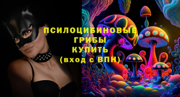 прущий лед Аркадак