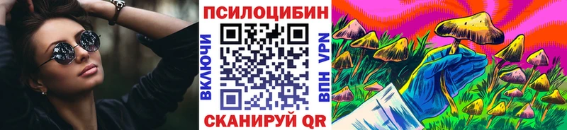 Псилоцибиновые грибы Cubensis  где купить   Солигалич 